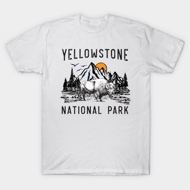 national park vintage tees